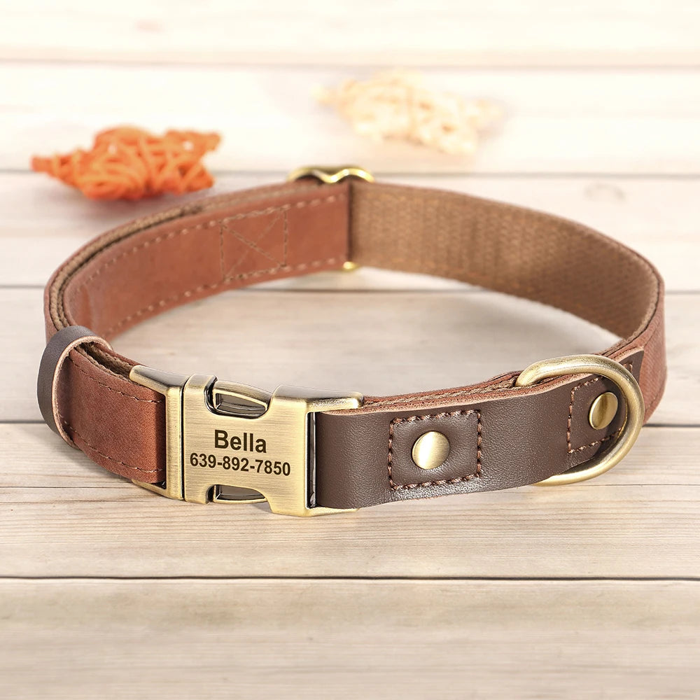 Collier chien personnalisé avec nom – réglable, confortable et sécurisé