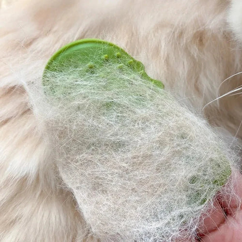 Brosse chat auto-nettoyante – élimine les poils facilement