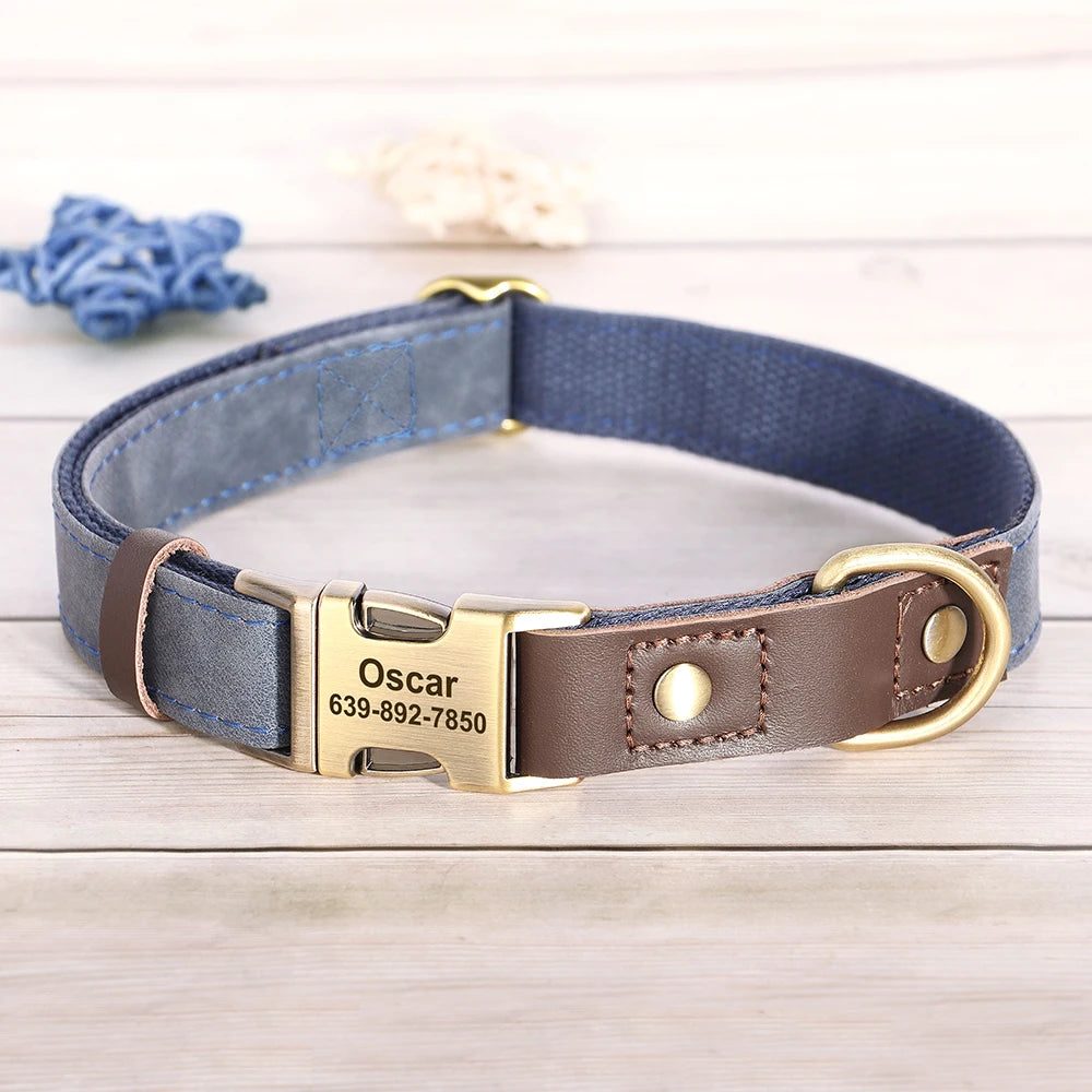 Collier chien personnalisé avec nom – réglable, confortable et sécurisé
