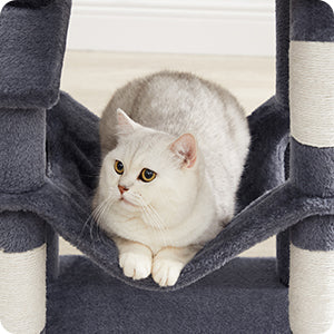 Arbre à chat compact – espace de jeu et de repos pour votre chat